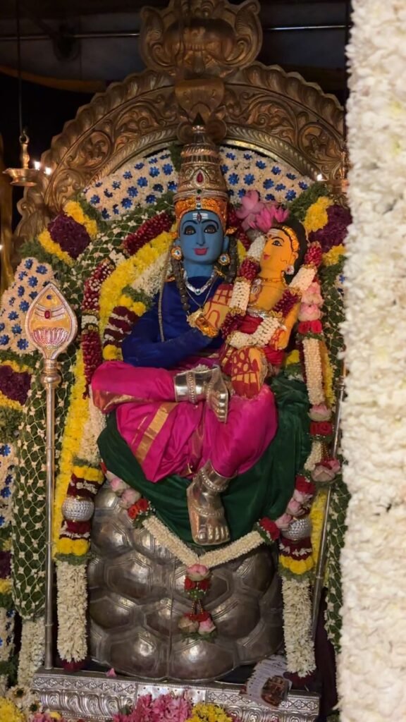 Home gallery 1 (19)